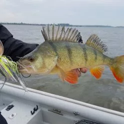 Savage Gear Da'Mega Bush Spinnerbait -Aanbiedingen Hengels Winkel 5769