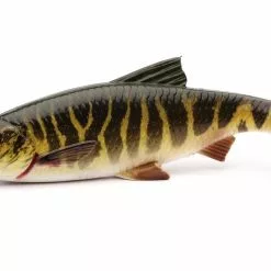 Savage Gear LB 3D River Roach 18cm