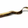 Savage Gear LB Real Eel 30cm | Lamprey