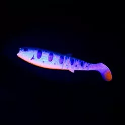 7 STUKS | Savage Gear LB Cannibal Shad 10cm | In Diverse Kleuren! -Aanbiedingen Hengels Winkel 71916 2