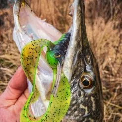 Fox Rage Mega Craw 16cm -Aanbiedingen Hengels Winkel craw7