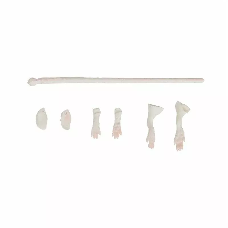 Savage Gear 3D Rad 20cm Repair Kit 3 Savage Gear 3D Rad 20cm Repair Kit - Afbeelding 3