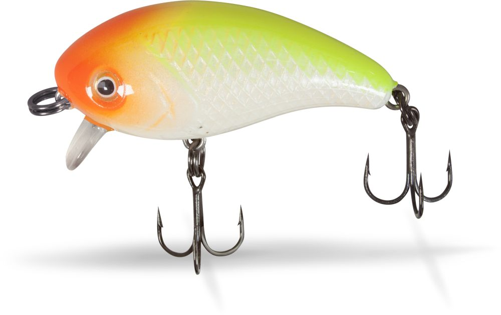 Quantum Mann's Baby-1 Minus 5.5cm | Clown 1 Quantum Mann's Baby-1 Minus 5.5cm | Clown