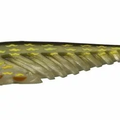 Berkley Giant Ripple 20cm (in Diverse Kleuren)