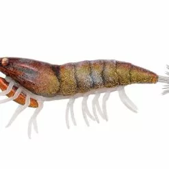 Savage Gear 3D Hybrid Shrimp 9.2cm 21gr | In Diverse Kleuren!