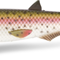 Quantum Yolo Pike Shad 18cm | Rainbow Trout