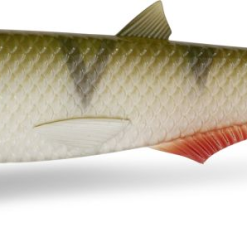 Quantum Yolo Pike Shad 22cm (keuze Uit Diverse Kleuren) -Aanbiedingen Hengels Winkel yolorealperch 2